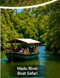 Madu River Boat Safari